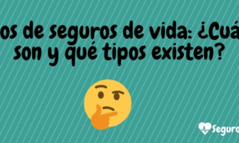 Tipos de seguros de vida: ¿cuáles son y qué tipos existen?